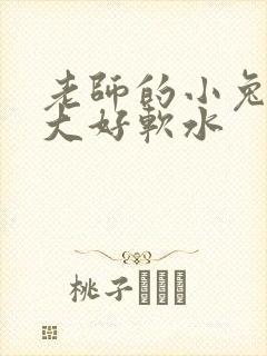 老师的小兔子好大好软水封面
