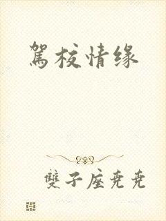 驾校情缘