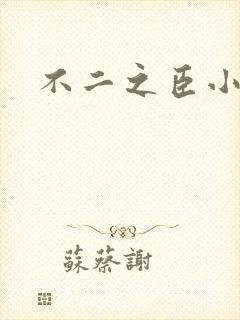 不二之臣小说