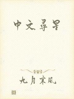 中文寻星封面