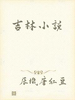 吉林小说封面