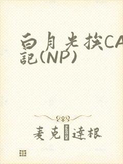 白月光挨CAO记(NP)