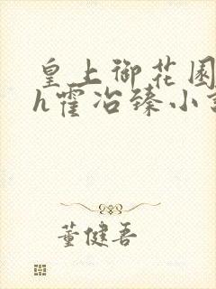 皇上御花园hlh霍冶臻小说封面