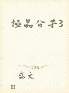 极品公子3