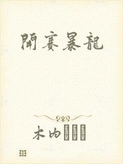 开赛暴龙封面