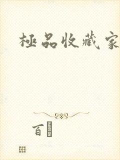 极品收藏家