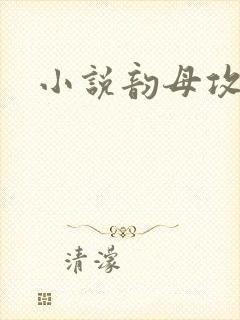小说韵母攻略封面