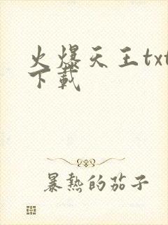 火爆天王txt下载