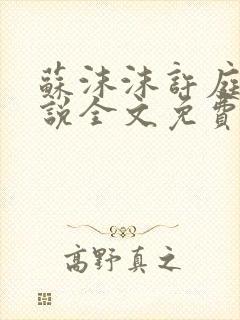 苏沫沫许庭川小说全文免费阅读封面