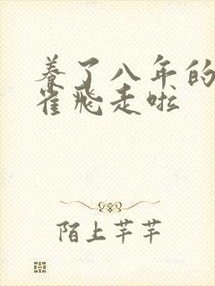 养了八年的金丝雀飞走啦