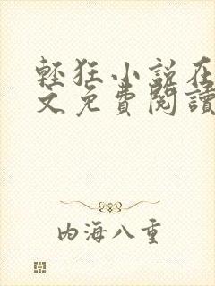 轻狂小说在线全文免费阅读封面