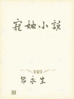 宠她小说