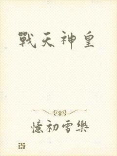 战天神皇封面