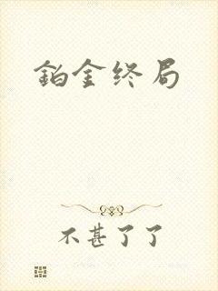 铂金终局封面