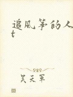 追风筝的人txt