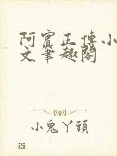 阿宾正传小说全文笔趣阁