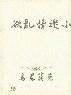 欲乱情迷小说