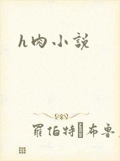 h肉小说