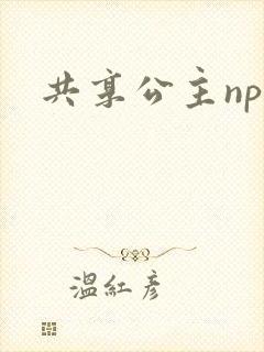 共享公主npc