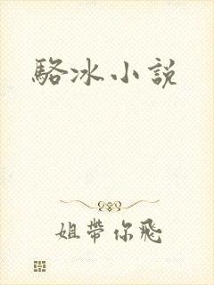 骆冰小说