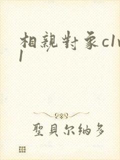 相亲对象c1v1封面