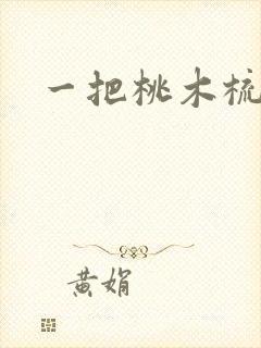 一把桃木梳封面