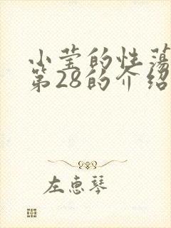 小莹的性荡生活第28的介绍