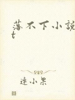 落不下小说txt