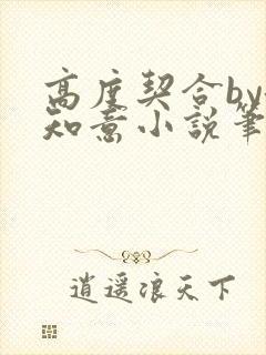 高度契合by洛知意小说笔趣阁无弹窗封面