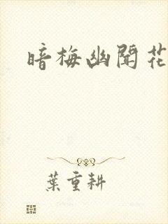 暗梅幽闻花
