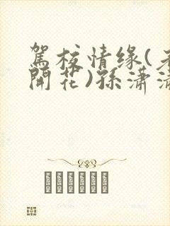 驾校情缘(老树开花)孙潇潇笔趣阁