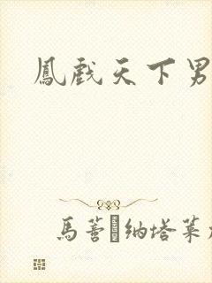 凤戏天下男
