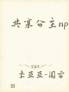 共享公主npc