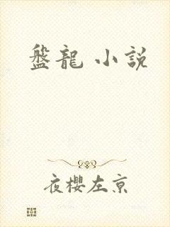 盘龙 小说