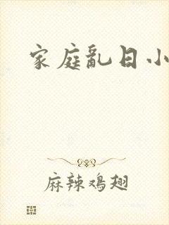 家庭乱日小说