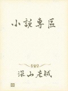 小说专区封面