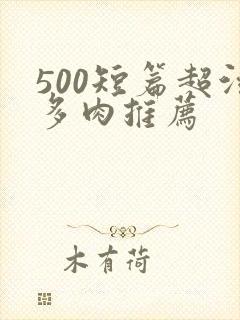 500短篇超污多肉推荐