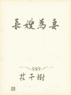 长嫂为妻封面