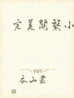 完美关系小说