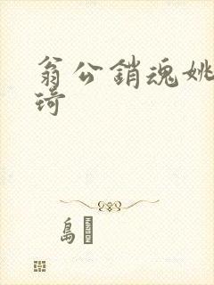 翁公销魂姚瑶琦琦封面