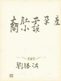 大肚子孕产笔趣阁小说