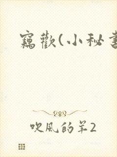 窃欢(小秘书)封面