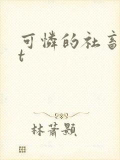 可怜的社畜txt