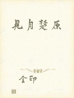 见月楚原封面