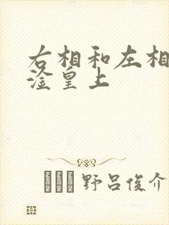 右相和左相一起淦皇上