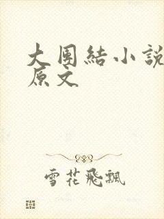 大团结小说阅读原文