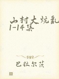 山村大炕乱肉续1-14集封面