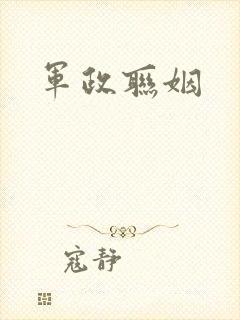 军政联姻
