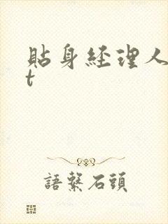 贴身经理人txt封面