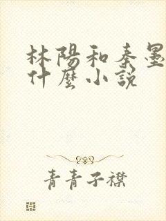 林阳和秦墨浓是什么小说封面